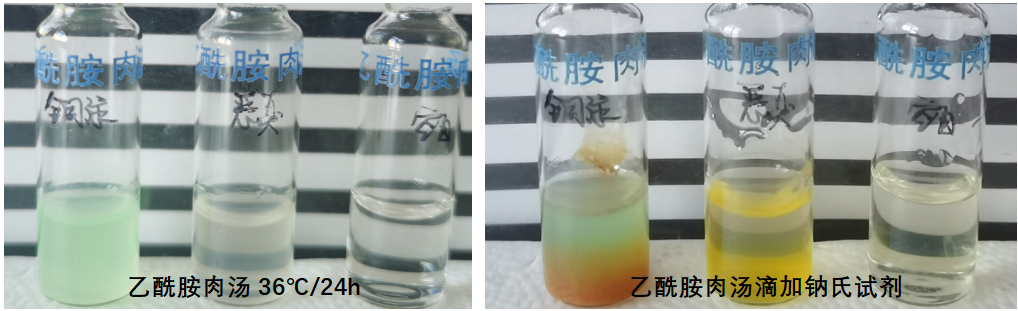 天然礦泉水檢測(cè)中的新角色--惡臭假單胞菌 天然礦泉水檢測(cè)中的新角色--惡臭假單胞菌