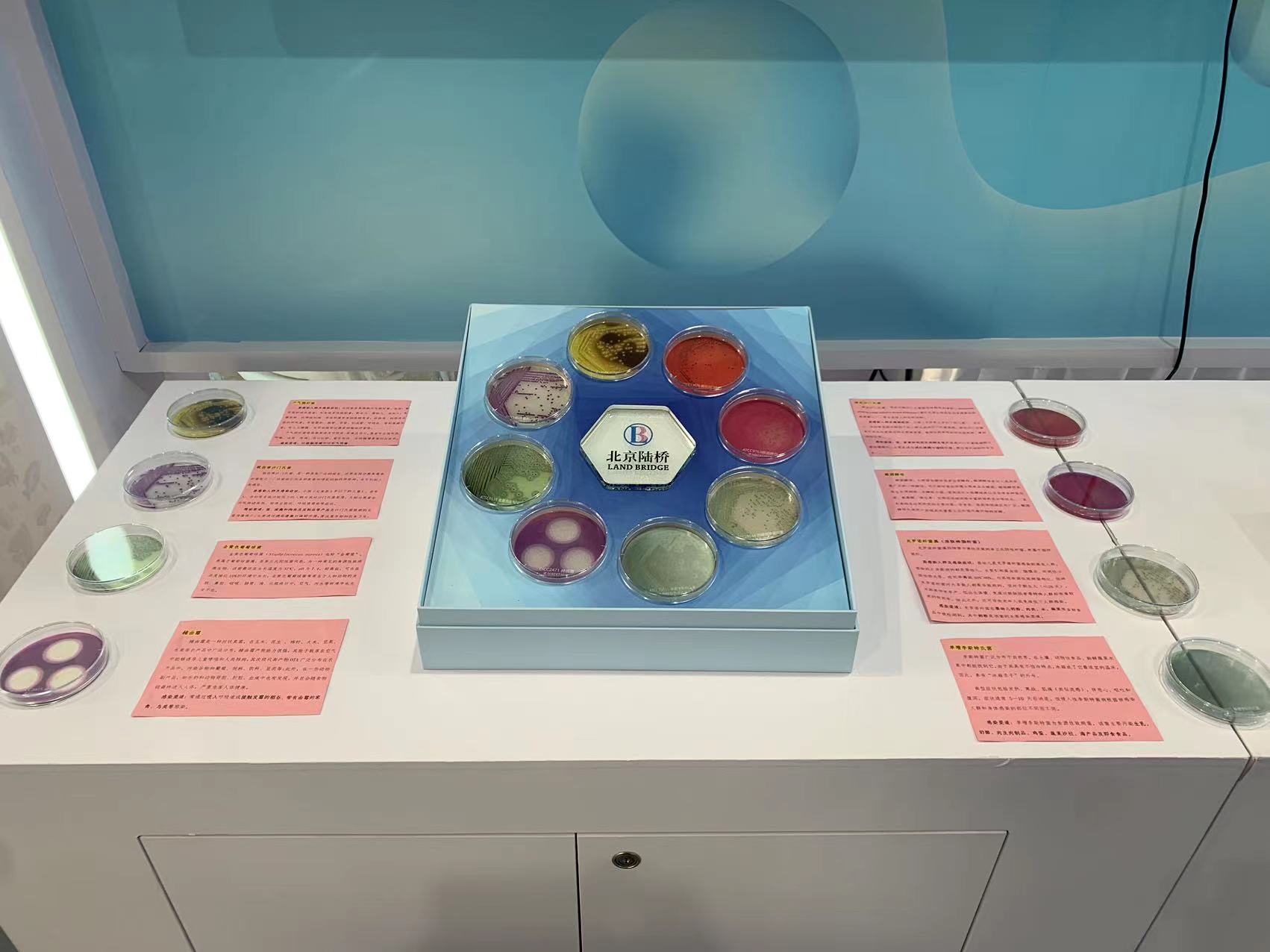 北京陸橋與您相約全國科普日 助力國家科技,守護“舌尖上的安全” 北京陸橋與您相約全國科普日 助力國家科技,守護“舌尖上的安全”