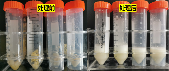 黃曲霉毒素M1的檢測(cè) 黃曲霉毒素M1的檢測(cè)