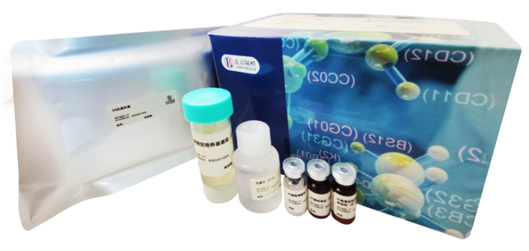 相約上海│北京陸橋邀您參加2024(第五屆)乳及乳制品檢測與控制技術(shù)交流會(5月8-11日) 相約上海│北京陸橋邀您參加2024(第五屆)乳及乳制品檢測與控制技術(shù)交流會(5月8-11日)