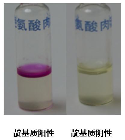 福氏志賀氏菌“靛基質(zhì)試驗”的結(jié)果討論 福氏志賀氏菌“靛基質(zhì)試驗”的結(jié)果討論