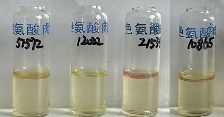 福氏志賀氏菌“靛基質(zhì)試驗”的結(jié)果討論 福氏志賀氏菌“靛基質(zhì)試驗”的結(jié)果討論