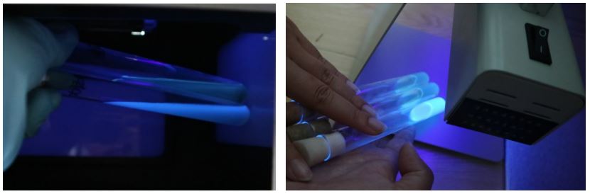 GB 4789.38-2025《食品安全國家標準 食品微生物學檢驗 大腸埃希氏菌計數(shù)》解讀 GB 4789.38-2025《食品安全國家標準 食品微生物學檢驗 大腸埃希氏菌計數(shù)》解讀