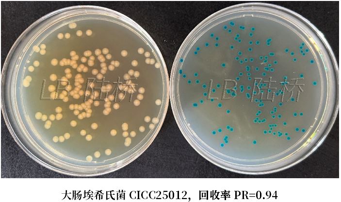 GB 4789.38-2025《食品安全國家標準 食品微生物學檢驗 大腸埃希氏菌計數(shù)》解讀 GB 4789.38-2025《食品安全國家標準 食品微生物學檢驗 大腸埃希氏菌計數(shù)》解讀