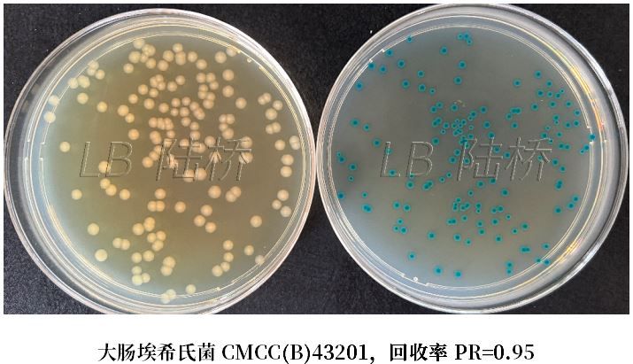 GB 4789.38-2025《食品安全國家標準 食品微生物學檢驗 大腸埃希氏菌計數(shù)》解讀 GB 4789.38-2025《食品安全國家標準 食品微生物學檢驗 大腸埃希氏菌計數(shù)》解讀