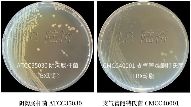 GB 4789.38-2025《食品安全國家標準 食品微生物學檢驗 大腸埃希氏菌計數(shù)》解讀 GB 4789.38-2025《食品安全國家標準 食品微生物學檢驗 大腸埃希氏菌計數(shù)》解讀