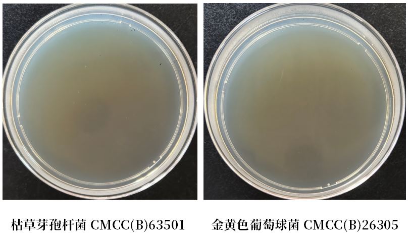GB 4789.38-2025《食品安全國家標準 食品微生物學檢驗 大腸埃希氏菌計數(shù)》解讀 GB 4789.38-2025《食品安全國家標準 食品微生物學檢驗 大腸埃希氏菌計數(shù)》解讀