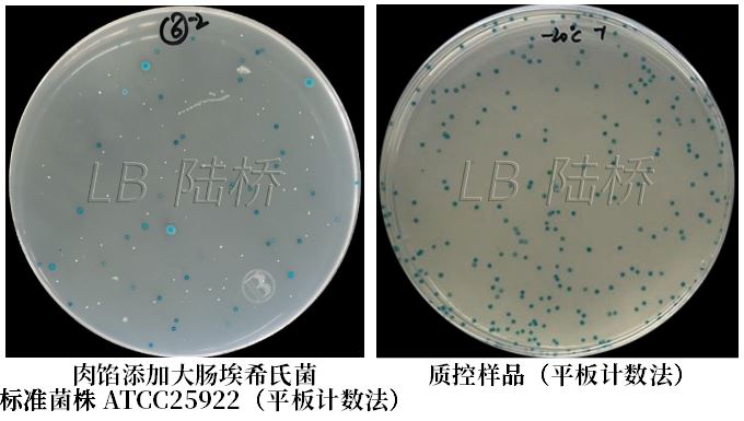 GB 4789.38-2025《食品安全國家標準 食品微生物學檢驗 大腸埃希氏菌計數(shù)》解讀 GB 4789.38-2025《食品安全國家標準 食品微生物學檢驗 大腸埃希氏菌計數(shù)》解讀