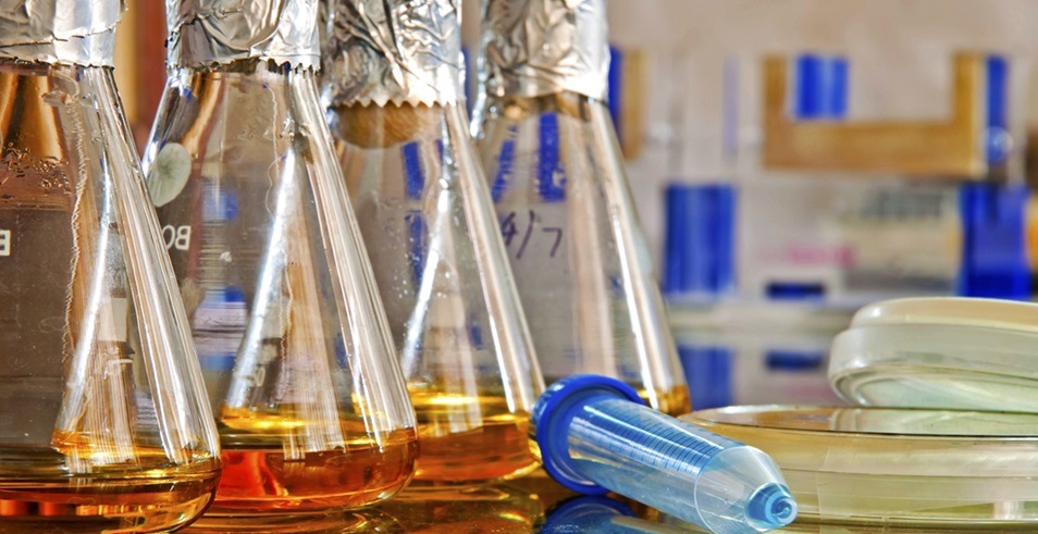 1101無菌檢查法——培養(yǎng)基適用性檢查操作要點（中國藥典2020年版四部）