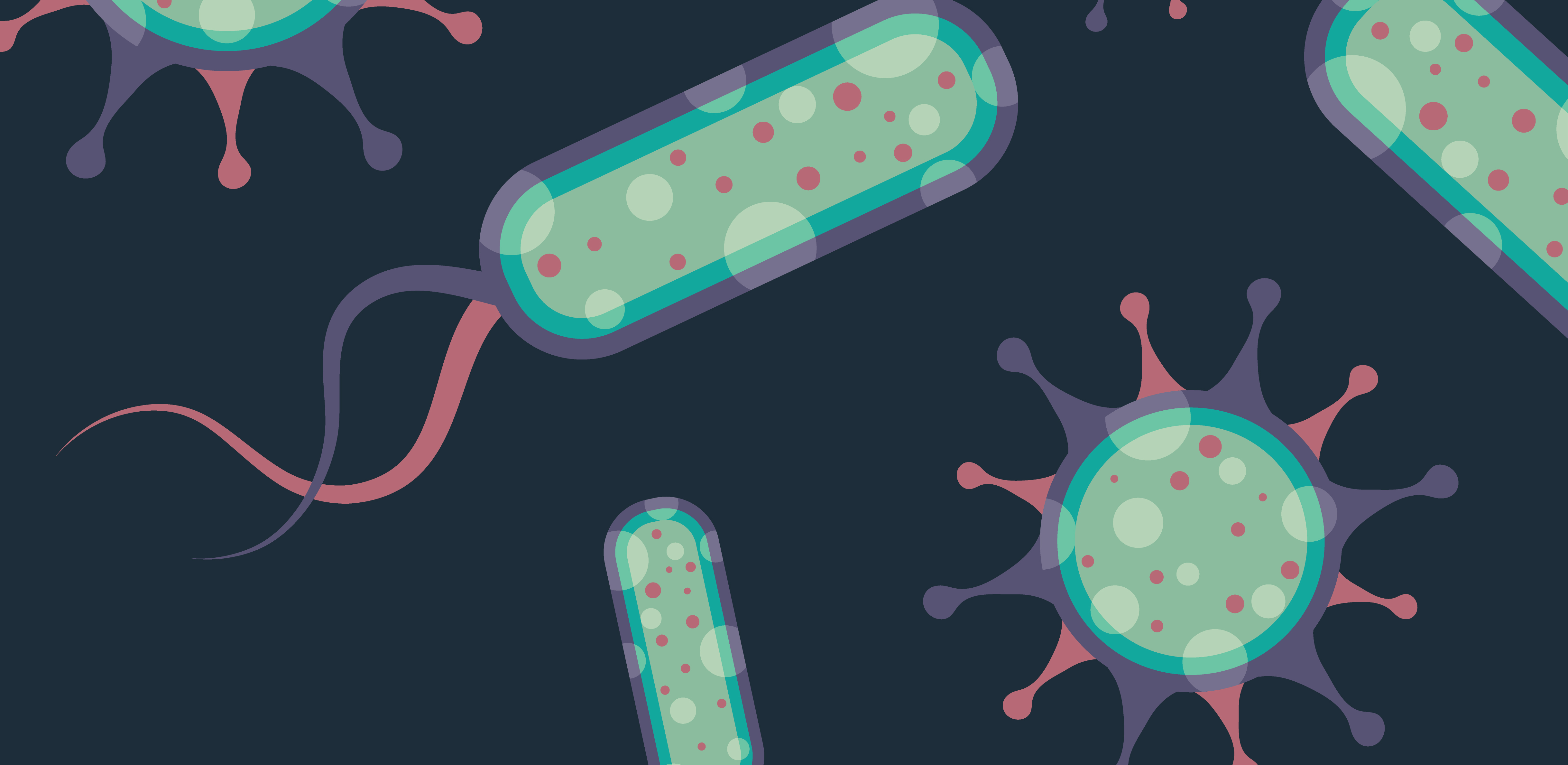 誰是芽胞桿菌中的“運動健將”？